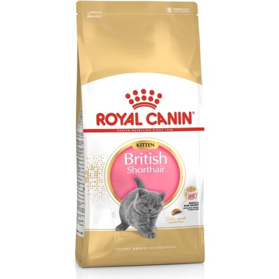 Royal Canin British Shorthair Kitten 10 kg