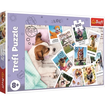 Image 1 of Trefl - Puzzle Holiday Pictures 300 - 300 piese