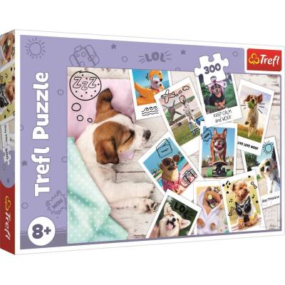 Trefl - Puzzle Holiday Pictures 300 - 300 piese