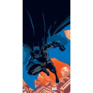 Batman | Jeph Loeb (ISBN: 9781401284862)