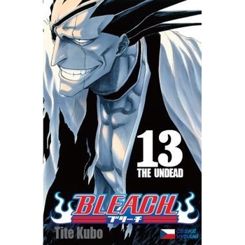 Bleach 13 (česky)