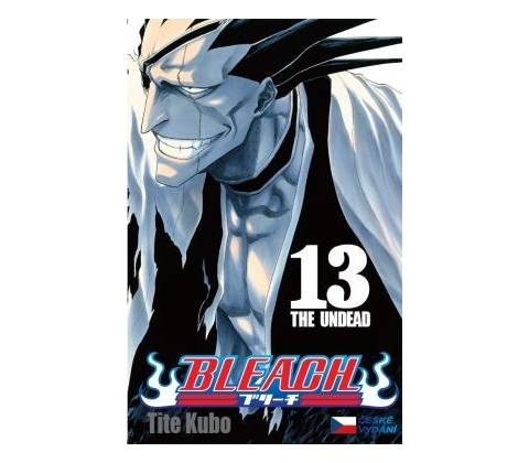 Bleach 13 (česky)