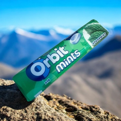 Wrigley's Orbit Mints Spearmint 28 g – Sleviste.cz