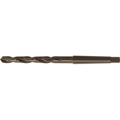 Fortis 10242550