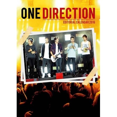 nástěnný ONE DIRECTION 2016