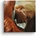 Gemini: In too deep CD