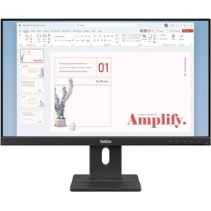 Lenovo ThinkVision E24-40 Монитори