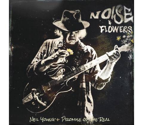 Noise & Flowers BD