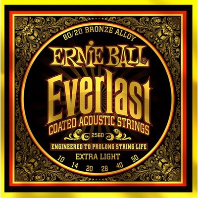 Ernie Ball 2560