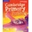 Cambridge Primary Path Level 4 Activity Book with Practice Extra