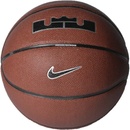 Nike Lebron All Court
