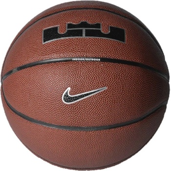 Nike Lebron All Court