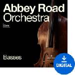 Spitfire Audio Abbey Road Orchestra: Basses Core (Дигитален продукт)