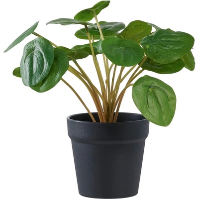 House Nordic Изкуствено растение (височина 28 cm) Pelia - House Nordic (9501005)