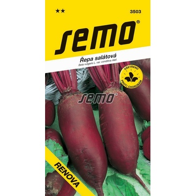 Semo Řepa salátová Renova - podlouhlá