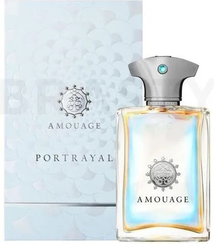 Amouage Portrayal Man EDP 100 ml