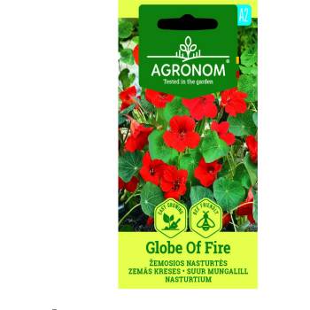Image 1 of Seklos Цветя латинка ниска Червена Globe of Fire
