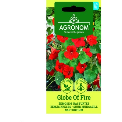 Seklos Цветя латинка ниска Червена Globe of Fire