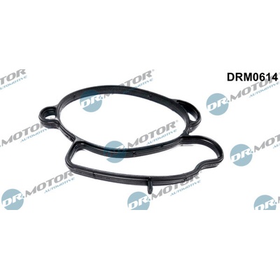 Těsnění, hrdlo škrtící klapky Dr.Motor Automotive DRM0614