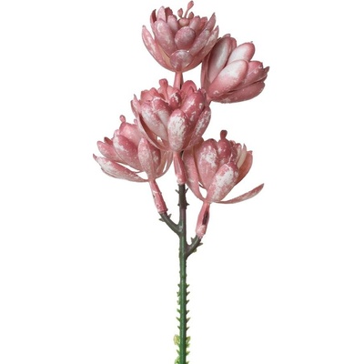 ZÁPICH SUKULENT RUŽOVÝ 18CM