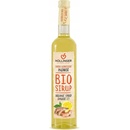 Hollinger Sirup zázvorový 0,5 l