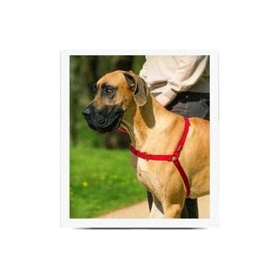 PetSafe postroj EasyWalk L