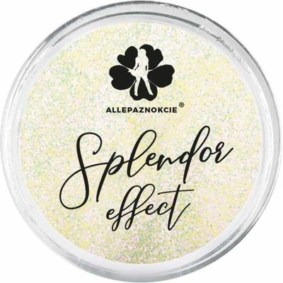 Trblietky na nechty Splendor effect 7