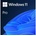 Microsoft Windows 11 Pro 64bit ENG (FQC-10528)
