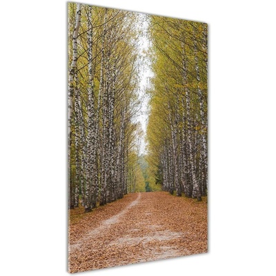 Vertikálny foto obraz fotografie na skle Brezový les 50x100 cm