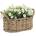 Bizzotto ИЗКУСТВЕНО ЦВЕТЕ PETUNIA 23, 5x12, 5x17 cm БЯЛО (0172708)