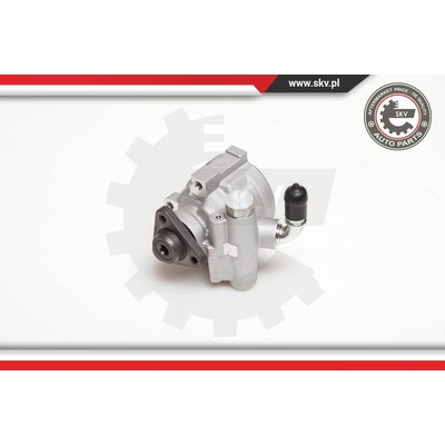 Hydraulické čerpadlo pre riadenie ESEN SKV 10SKV003