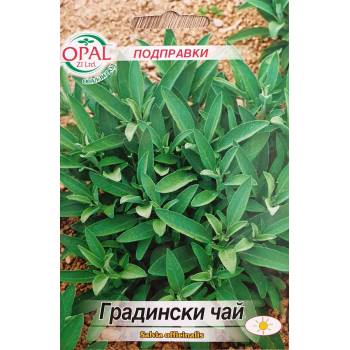 Image 1 of Opal Zi Градински чай (Салвия) Salvia officinalis