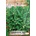 Opal Zi Градински чай (Салвия) Salvia officinalis