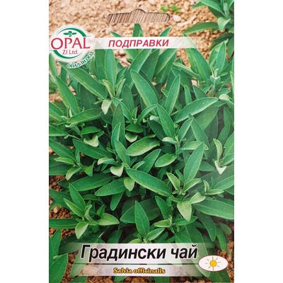 Opal Zi Градински чай (Салвия) Salvia officinalis