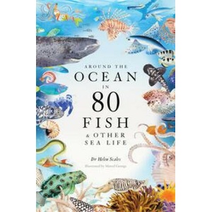Around the Ocean in 80 Fish and other Sea Life | SCALES HELEN (ISBN: 9781399602785)