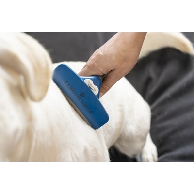 FURminator hrablo Short Hair pro psy XL – Zbozi.Blesk.cz