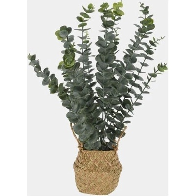 Umělý eukalyptus v košíku, 50 cm