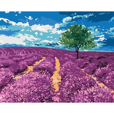 Zuty malování podle čísel Pole levandulí se stromem
