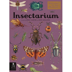 INSECTARIUM WELCOME TO THE MUSEUM | GOULSON DAVE (ISBN: 9781536241143)