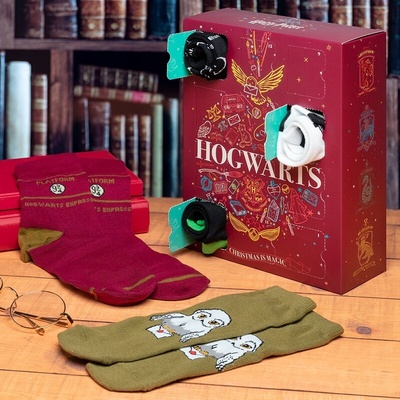 Knižní komiksový Harry Potter Hogwarts 2021