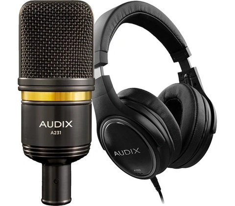 Audix A231