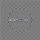 CARTER TUTTI VOID: TRANSVERSE, CDdigi