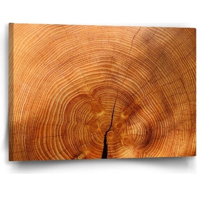 Sablio Obraz Drevo 2 - 60x40 cm