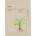 Ondo Beauty 36.5 TANG-TANG Adenosine & Zhi Mu Lifting Mask 25 g