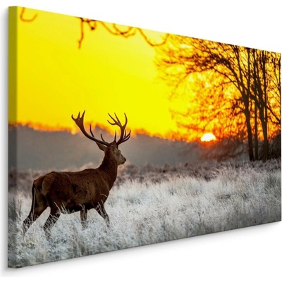 MyBestHome BOX Plátno Jelen Na Pozadí Vycházejícího Slunce Varianta: 100x70
