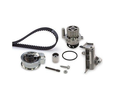 Gates KP25569XS4