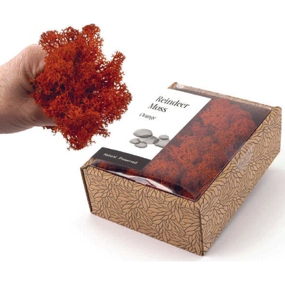 KreaBox - Oranžový lišajník
