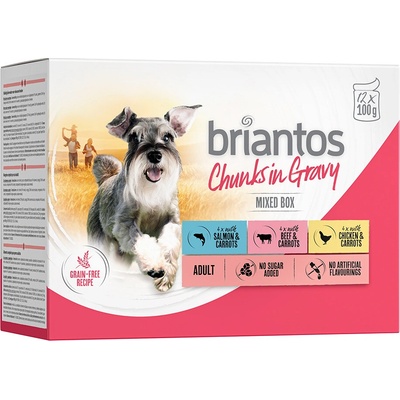 Briantos Chunks in Gravy kuracie s mrkvou 12 x 100 g