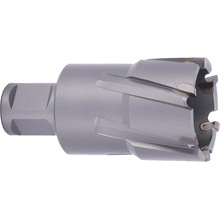 ABSE N-CA-W19-0360035