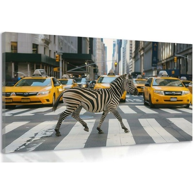 Obraz zebra v New Yorku - 150x100